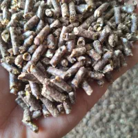 /(خوراک استارتر برای برههای شیرخوار//پلت