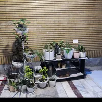 اپارتمان ۵۰متری تهرانسر اصلی همکف (اسدی)