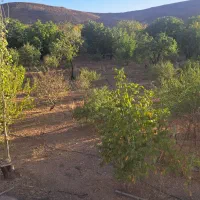 کارگر باغ