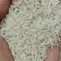 برنج امساله فجر معطر گرگان (فجر با اصالت)