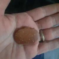 سنگ زینتی|بدلیجات|حسن آباد, |دیوار