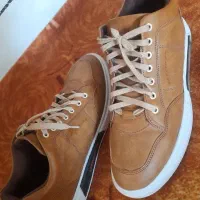 کفش سایز ۴۴