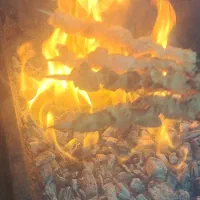 نیازمند نیروی کار در جیگرکی وکبابی