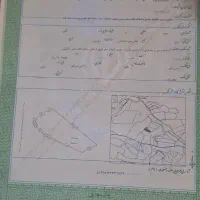 زمین باغی ۳۰۰۰متر در روستایی پاکو