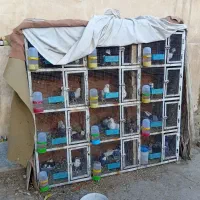 جفت کن آهنی