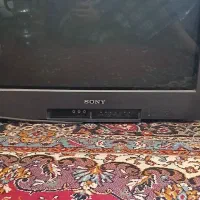 دلیر تلویزیون|ابزارآلات|مهریز, |دیوار