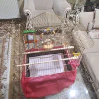 قفس پرنده|لوازم جانبی حیوانات|کرج, کرج نو|دیوار