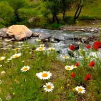 زمین وحیدیه بلوک