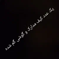 یک عدد گوشی و مدارک