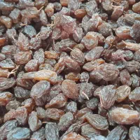 کشمش بیدانه|خوردنی و آشامیدنی|تاکستان, |دیوار