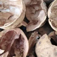 خرید و فروش پوست گردو