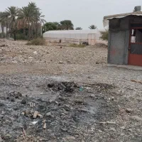 فروش زمین باغی|فروش زمین و ملک کلنگی|رودان, |دیوار