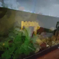 آکواریوم با لوازم