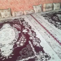 فرش ۱۲ متری|فرش|شیراز, کوشک میدان|دیوار