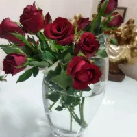 نیروی خانم جهت آشپزی و نظافت