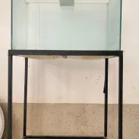 اکواریوم|ماهی|بجنورد, |دیوار