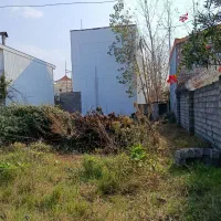 زمین با پروانه ساخت بنا۲۵۰متری|فروش زمین و ملک کلنگی|چاف و چمخاله, |دیوار