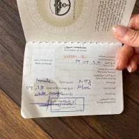 گربه بسیار ملوس|گربه|تهران, تهرانسر مرکزی|دیوار