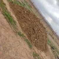 انبار گوسفند