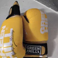 دستکش بوکس|تجهیزات ورزشی|تکاب, |دیوار