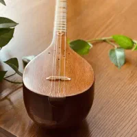 تدریس سه تار (آموزشگاه،خصوصی)