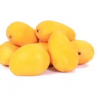 فروش انبه به صورت جزئی و کلی