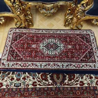 پشتی ریزماهی