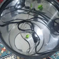 سبزی خرد کن ۸ کیلویی
