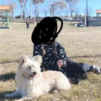 واگذاری سگ‌پاکوتاه شیتزو