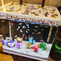 آکواریوم شرکتی کارتونی همراه ماهی|ماهی|تبریز, |دیوار