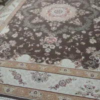 قالی 12 متری|فرش|بندرعباس, |دیوار