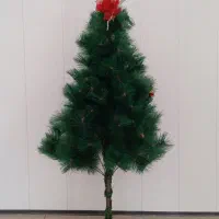 درخت کریسمس در حدنو ، کاج