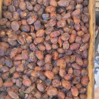 خرمای گنطار|خوردنی و آشامیدنی|اهواز, کارون|دیوار