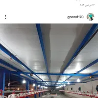 بسته بندی کشتارگاه مرغ