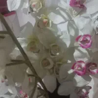 گل و گلدان در حد|گل مصنوعی|تهران, استاد معین|دیوار