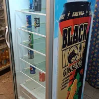 فریزر و یخچال ایستاده تک درب و دودرب|فروشگاه و مغازه|تبریز, |دیوار