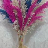 گل پامپاس و گلدان