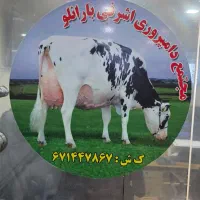 آشپزی و نظافت محل کار