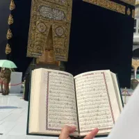 فروش یه دونه فیش عمره