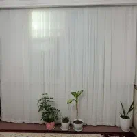 پرده|پرده، رانر، رومیزی|تهران, والفجر (افسریه)|دیوار