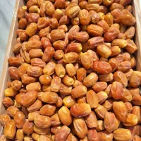 خرما زاهدی قصب|عمده‌فروشی|قیروکارزین, |دیوار