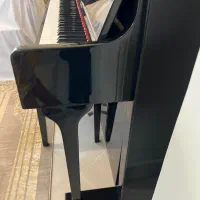 پیانو|پیانو، کیبورد، آکاردئون|اصفهان, هزارجریب|دیوار