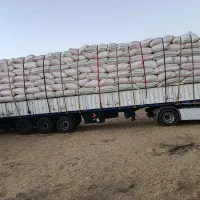خریدارکاه|خدمات باغبانی و درختکاری|دهگلان, |دیوار
