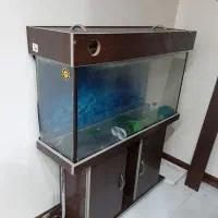 اکواریوم ام دی اف کمددار یک متری