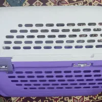 باکس حیوانات