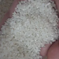 نیمدانه درشت دم سیاه