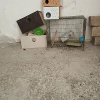 فروش قفس  و بشکه 20لیتری و لانه پرنده