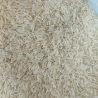 بابل فروش برنج طارم هاشمی.