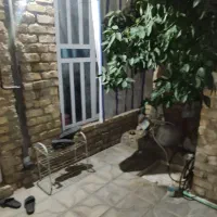 فروش خانه ویلایی ۵۲ متری ۱ خوابه در شهرک کوشکک|فروش خانه و ویلا|شیراز, شهرک کوشکک|دیوار