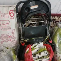 سیسمونی نوزاد در حد نونونو